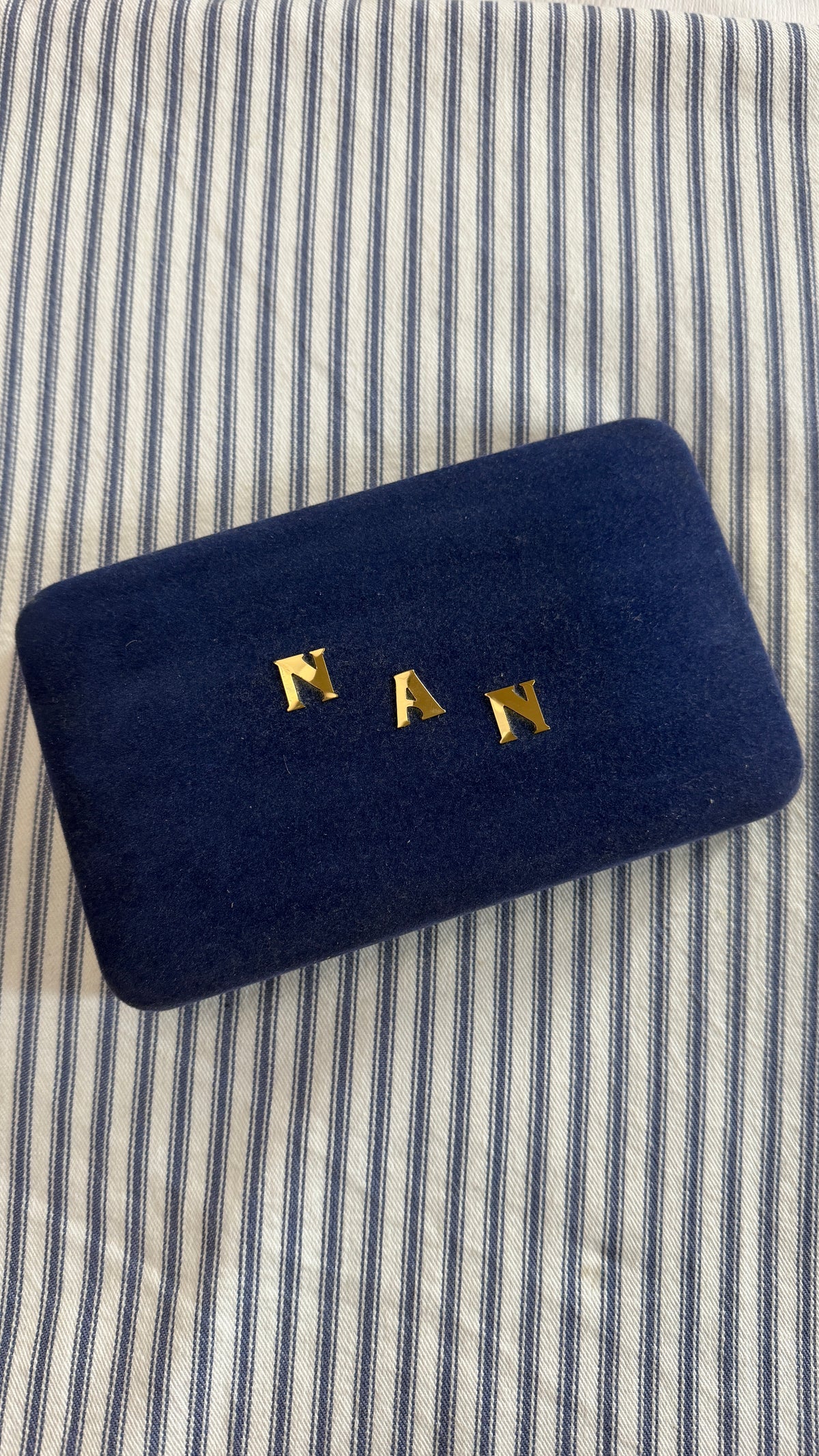 Nan jewley case